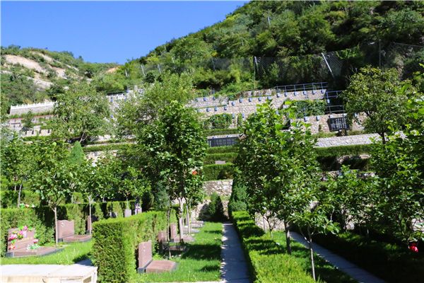 殡葬用品可以分为哪些？