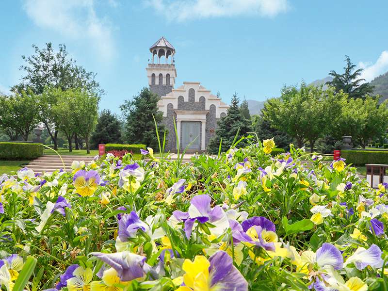 朝阳陵园地址详细在哪里？朝阳陵园的墓地价格是多少？