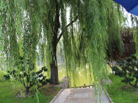 北京平谷归山陵园多少钱？刻墓碑单独计算吗？